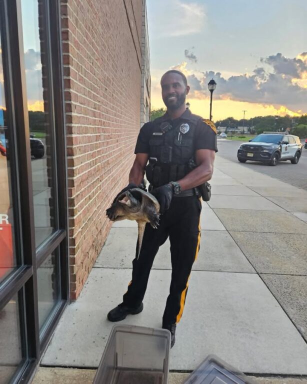 SnapChat: Snapping turtle removed from outside Promenade store in Evesham