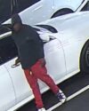 Newark police seek suspect in vesey street auto burglary