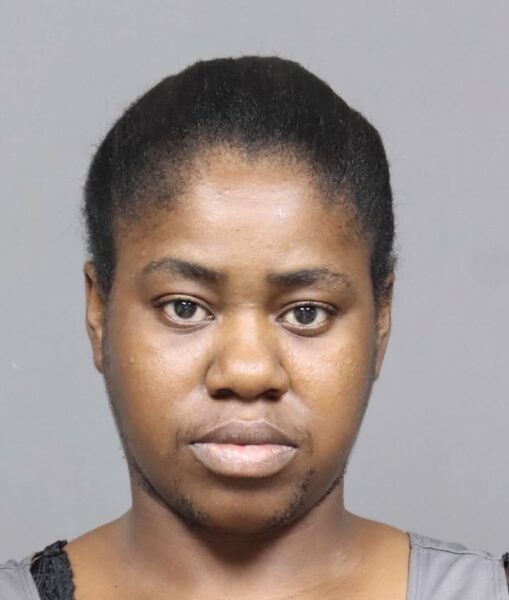 Utica woman charged in stabbing following argument on Gray Avenue