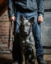 Vader helps track and apprehend suspect after armed altercation in norwich