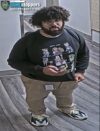 Woman groped and injured in bronx elevator attack suspect still at large