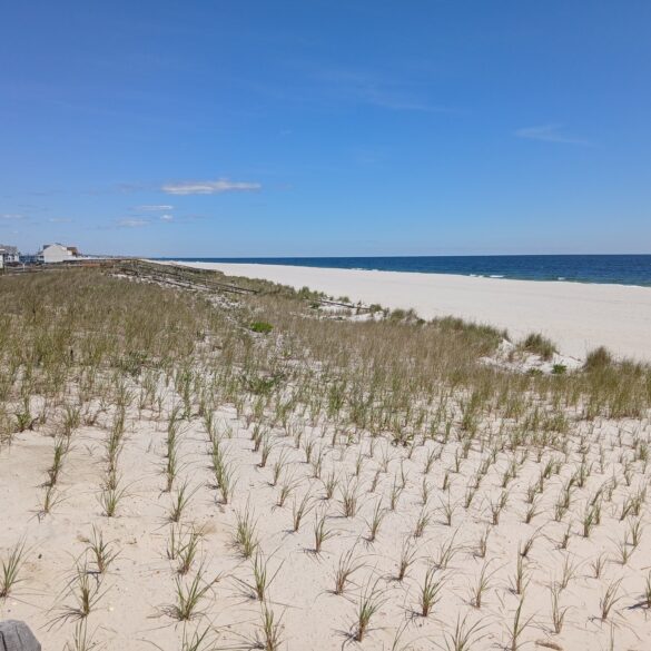 Toms river invites residents to hit local beaches and pool during sunny weather stretch - photo licensed by shore news network.