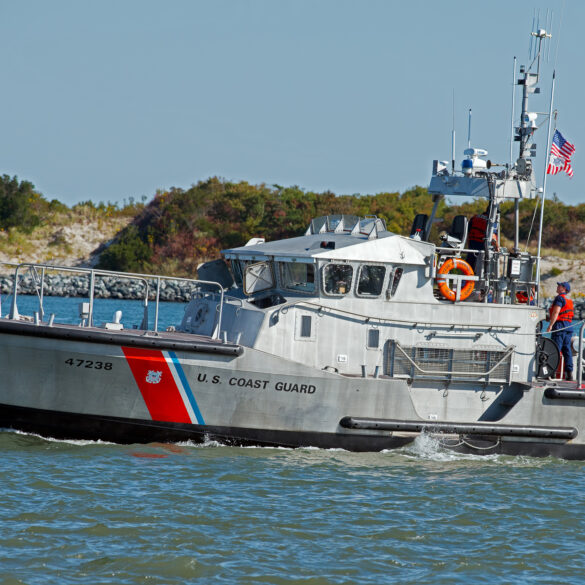 Watch: one person tossed overboard after minke whale struck in barnegat inlet - photo licensed by shore news network.