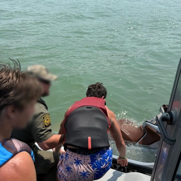 Border patrol agents rescue teens from sinking jet ski as ferries close in on lake erie - photo licensed by shore news network.