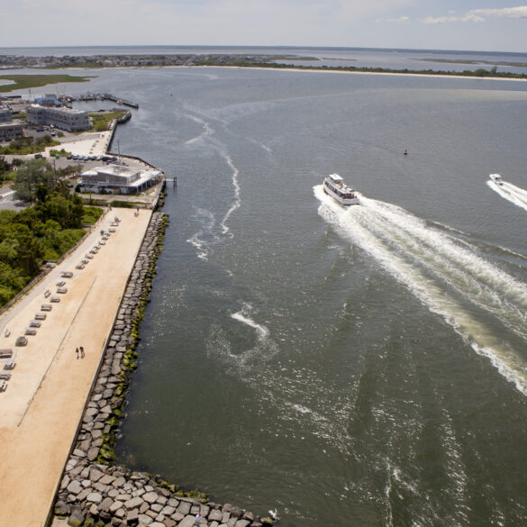 Caught on camera: minke whale struck and killed in barnegat inlet throwing boater overboard - photo licensed by shore news network.