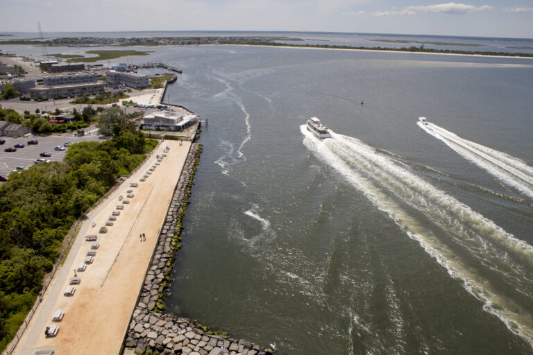 Caught on camera: minke whale struck and killed in barnegat inlet throwing boater overboard - photo licensed by shore news network.
