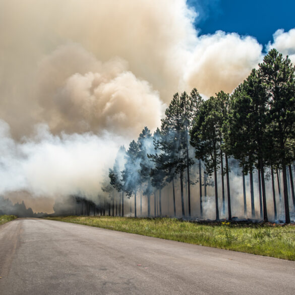Oh, canada, we can’t breathe down here—put out your fires already - photo licensed by shore news network.