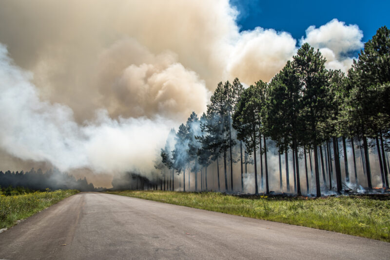 Oh, Canada, we can’t breathe down here—put out your fires already