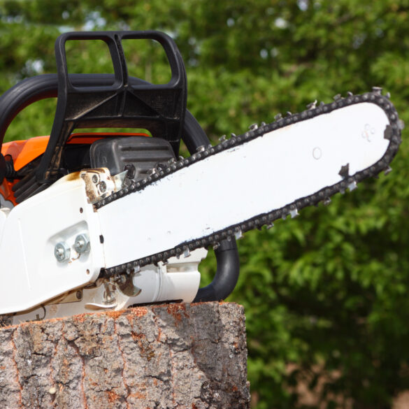 Bridgeville man sought after chainsaw threat and assault on deldot worker - photo licensed by shore news network.