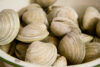 Clamfest returns to new jersey with clams, food, fireworks and funnel cakes