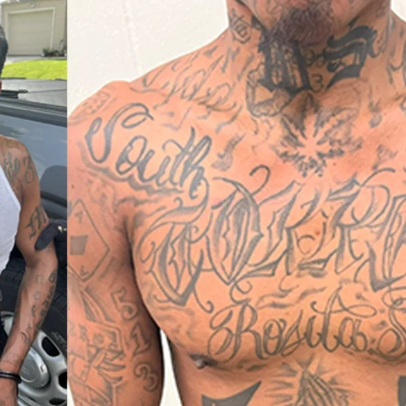 Ice nabs repeat offender and sureños gang member in kansas city - photo licensed by shore news network.