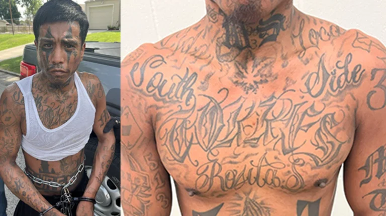 Ice nabs repeat offender and sureños gang member in kansas city - photo licensed by shore news network.