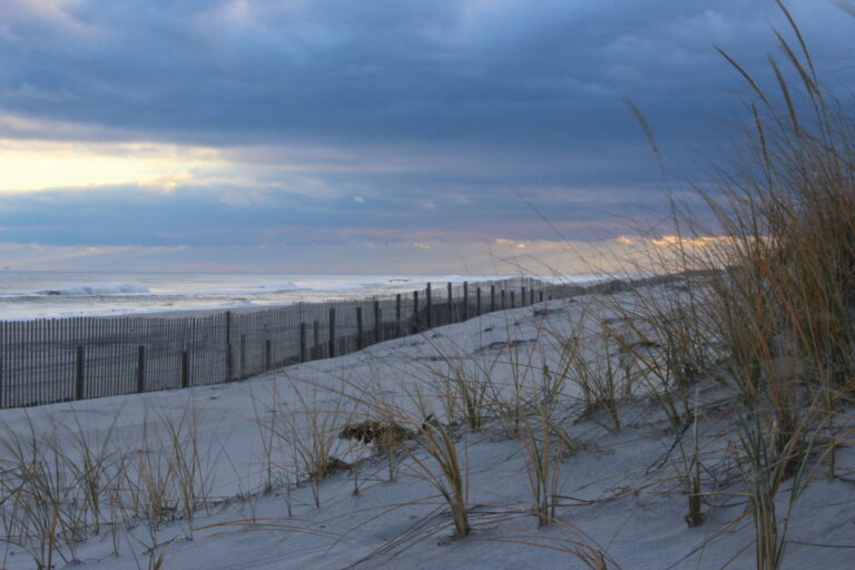 Deadly shark attack caught on camera at new jersey beach - photo licensed by shore news network.