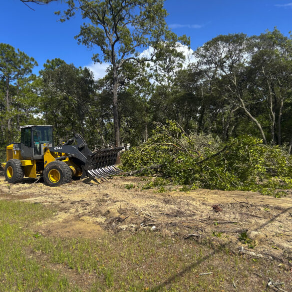 Massive daycare facility and apartment complex project moves forward near south hope chapel in manchester - photo licensed by shore news network.