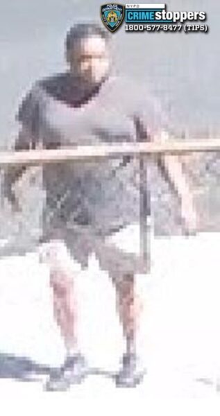 Police seek suspect in Bronx robbery that left senior injured