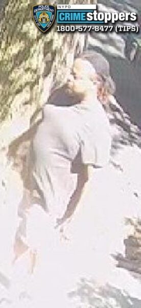 Police seek suspect in Bronx robbery that left senior injured