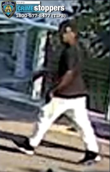 Man ambushed and robbed for gold chain in Bronx as gun-wielding duo flees into park