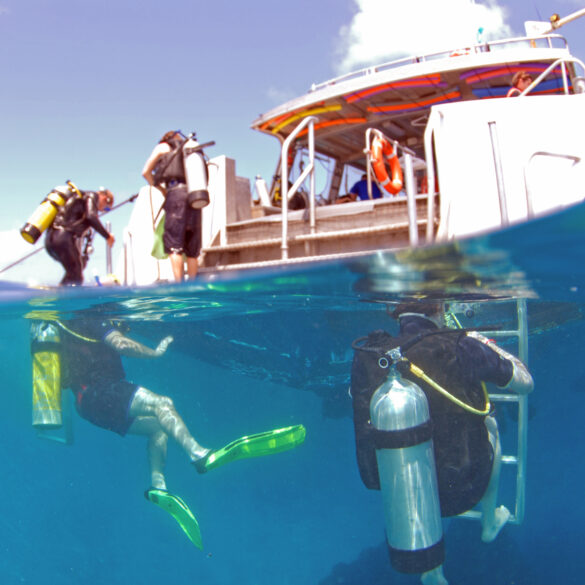 Florida scuba captain gets 8 years for fatal propeller incident and pandemic loan fraud - photo licensed by shore news network.