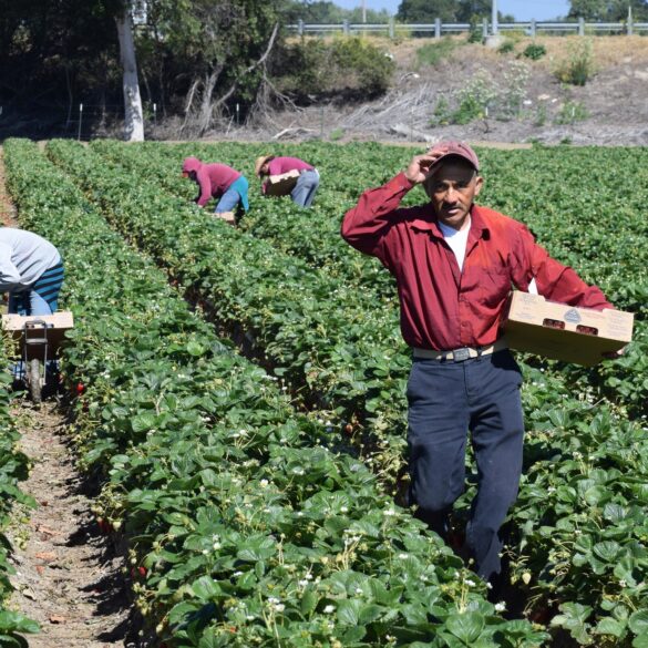 New jersey wants to ban the term "illegal alien" from state documents and replace it with this - photo licensed by shore news network.