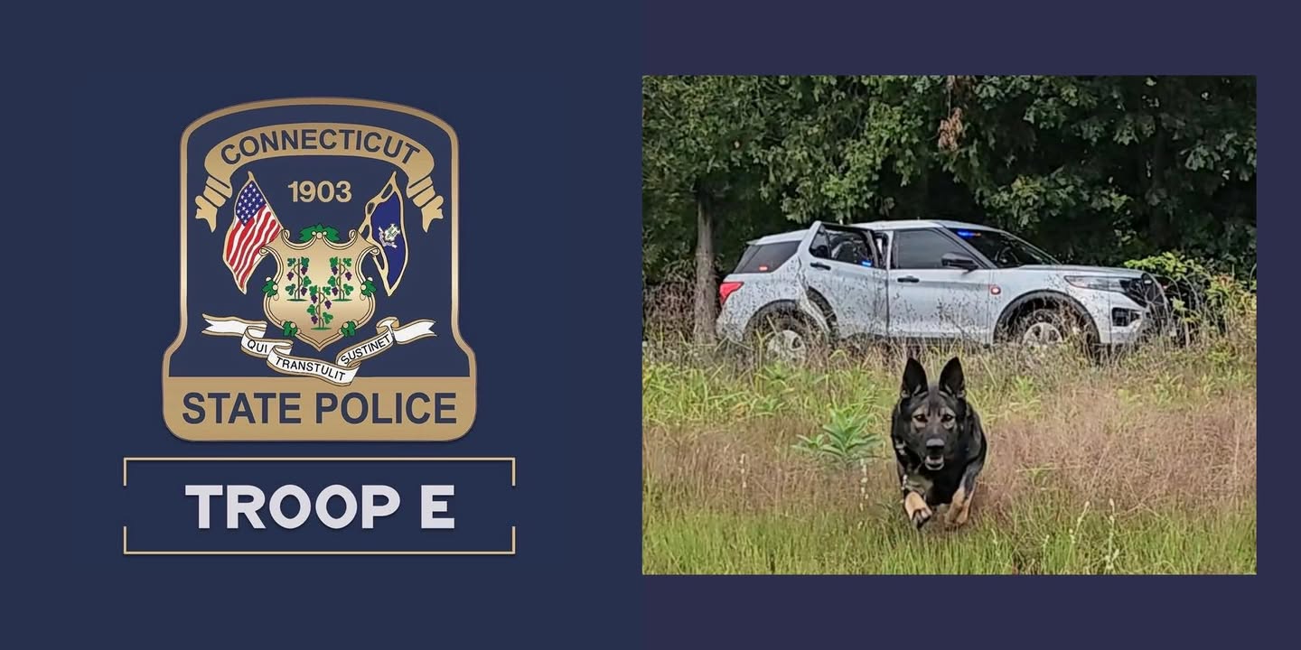 Connecticut K9 tracks swamp-covered fugitive then finds missing man hours later