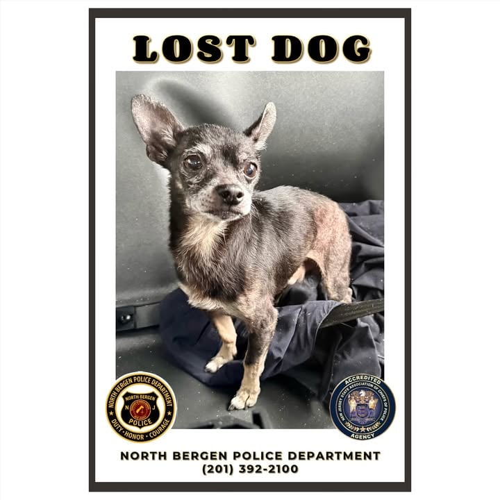 Small dog found near Riverside Place as North Bergen police search for owner