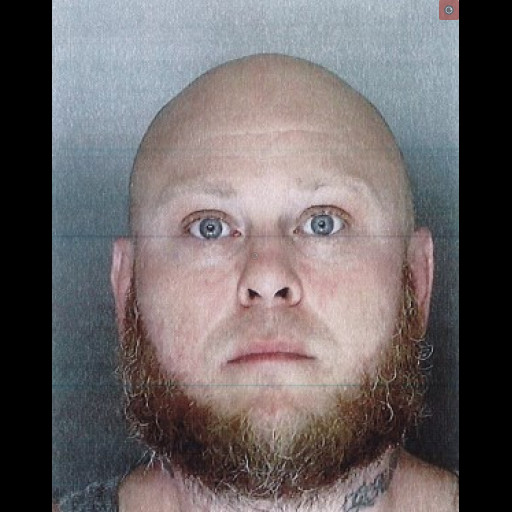 Fulton Township man to face county court for allegedly throwing child and breaking her arm