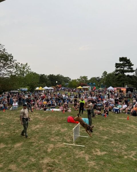 BMX stunts fire up National Night Out as hundreds pack Stafford Township event