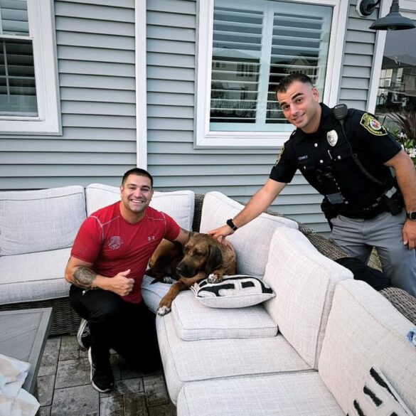 Officers leap into lagoon to save service dog at the jersey shore - photo licensed by shore news network.