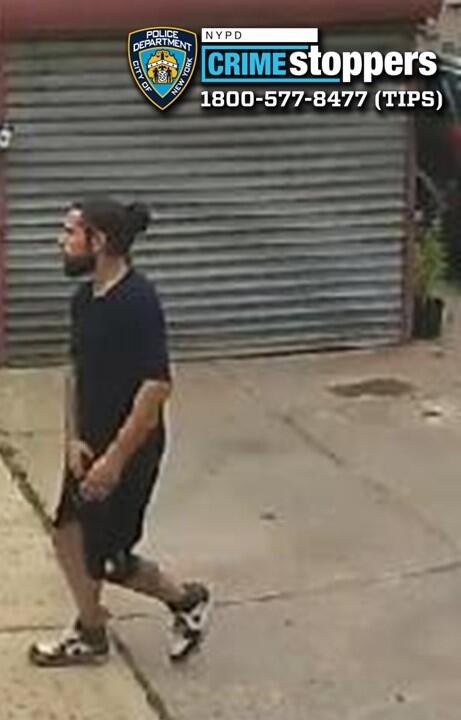 NYPD searching for manbun tool thief in Bay Ridge