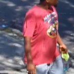 Brooklyn man arrested after attempted rape of 13-year-old girl near Ocean Parkway