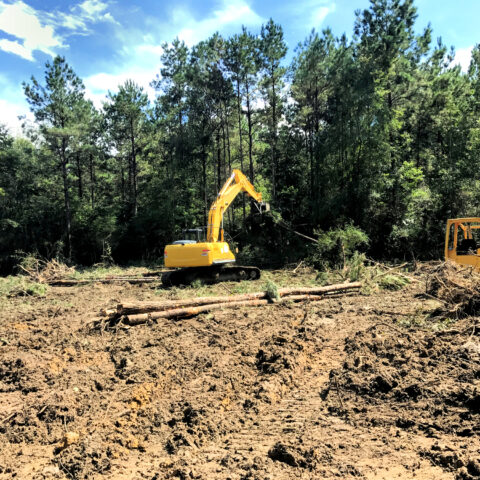 Overdevelopment in new jersey a key focus on ciattarelli-sherrill debate as dem calls for more high-density housing - photo licensed by shore news network.