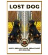 North bergen police searching for owner of lost dog found near durham avenue