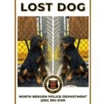 North Bergen police searching for owner of lost dog found near Durham Avenue