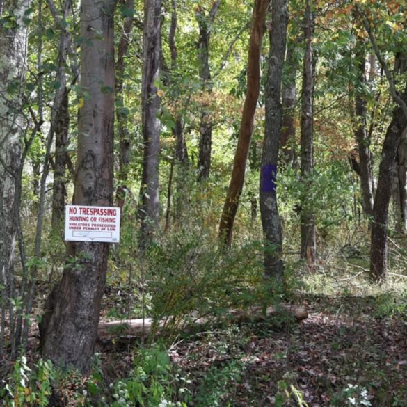 Pennsylvania hunters warned of tougher trespass penalties ahead of archery season - photo licensed by shore news network.