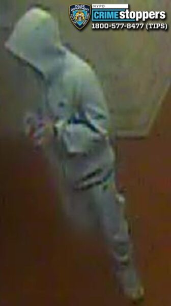 New York Couple slashed in knife attack inside Bronx building as four suspects flee