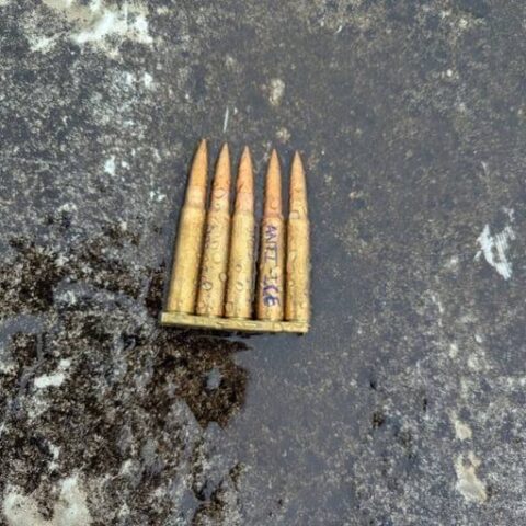 Dallas ice facility shooting leaves two detainees dead at hands of anti-ice activitst - photo licensed by shore news network.