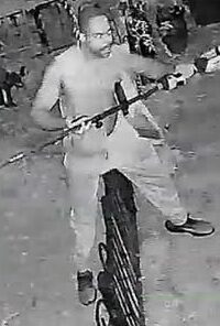 Caught on camera thief steals weed whacker from Silver Spring backyard