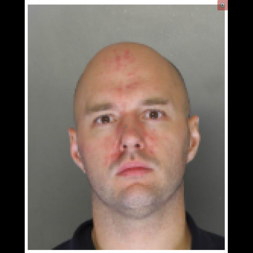 Cops say man forced way into home and stunned woman with Taser