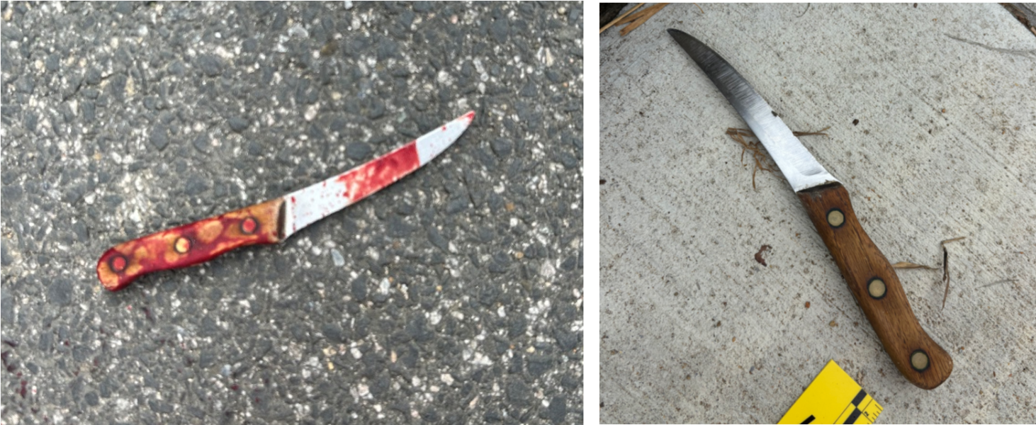 Knife-wielding man shot and killed by DC police during domestic disturbance call