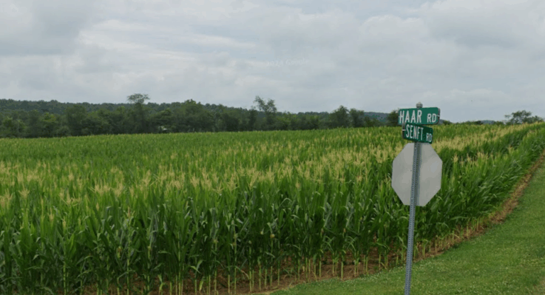 Three cops killed, two wounded, serving a warrant in york county, gunman fired from cornfield - photo licensed by shore news network.