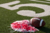Queens school staffer accused of stealing $415k for private cheer company
