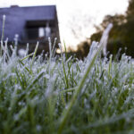 Garden state alert: first frost of the season expected in new jersey as weekend winds move in - photo licensed by shore news network.