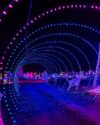 Spooky speedway lights up sicklerville with family-friendly halloween glow