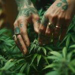 New jersey bill seeks stronger workplace protections, unions for cannabis industry employees - photo licensed by shore news network.