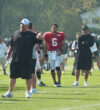 Former jets qb mark sanchez arrested after stabbing in indianapolis