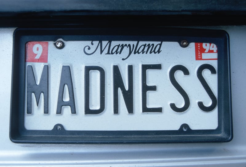 Anne Arundel police warn drivers of fake tags and insurance scams
