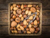 Cracking open fall: new jersey’s lost tradition of mixed nuts and memory
