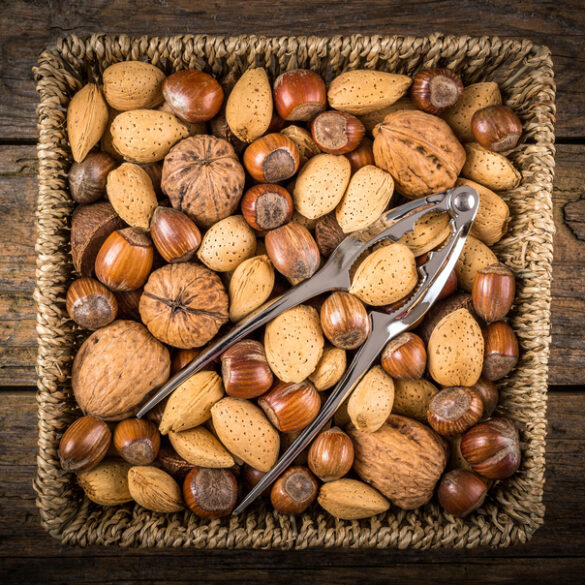 Cracking open fall: new jersey’s lost tradition of mixed nuts and memory - photo licensed by shore news network.