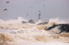 Nor’easter to slam new jersey with flooding, 60 mph winds, and coastal erosion, state of emergency pre-declared