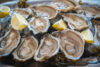 New jersey oyster festival brings shucking contests and coastal flavor to port norris